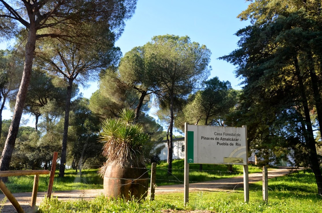 CasaForestal1